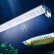LUMINÁRIA LED AQUÁRIO 48CM YGD480- RGB